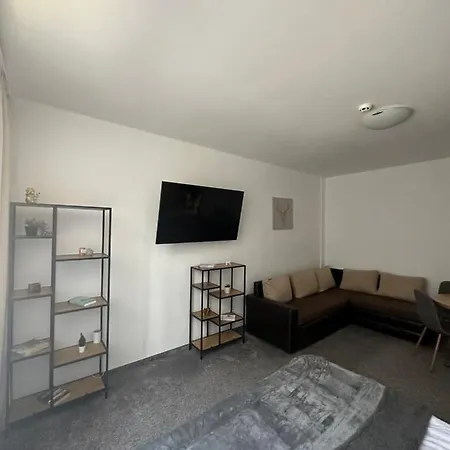 флора 213б בורובץ