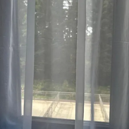 флора 213б מלון דירות בורובץ