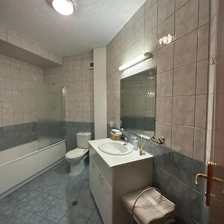 флора 213б מלון דירות